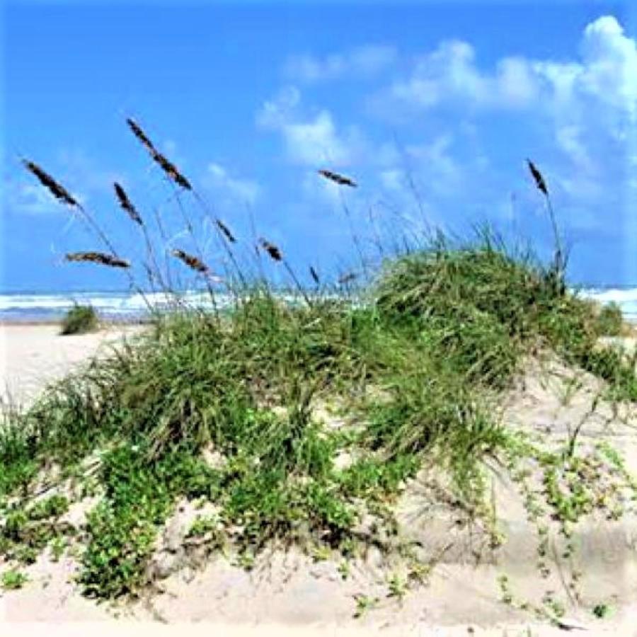 Village By The Gulf Gulf Shores Exterior foto